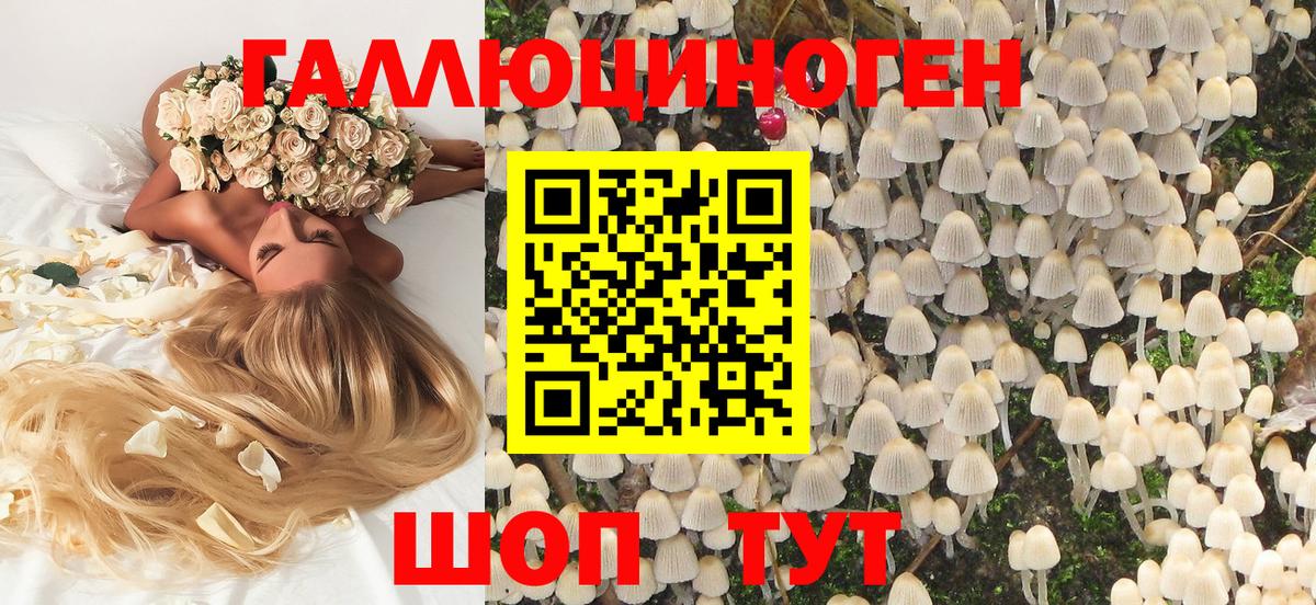 Галлюциногенные грибы Psilocybe  Вход с VPN  Галлюциногенные грибы MAGIC MUSHROOMS  Гагарин 